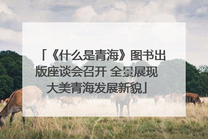 《什么是青海》图书出版座谈会召开 全景展现大美青海发展新貌