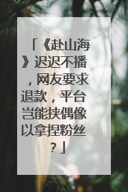 《赴山海》迟迟不播，网友要求退款，平台岂能挟偶像以拿捏粉丝？