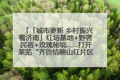 「城市更新 乡村振兴看济南」红培基地+野奢民宿+玫瑰秘境……打开莱芜“齐鲁情映山红片区”的破圈秘籍