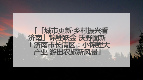 「城市更新·乡村振兴看济南」锦鲤跃金 沃野图新！济南市长清区：小锦鲤大产业 游出农旅新风景