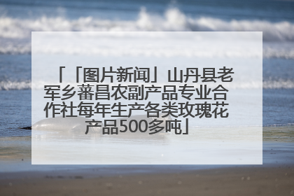 「图片新闻」山丹县老军乡蕃昌农副产品专业合作社每年生产各类玫瑰花产品500多吨
