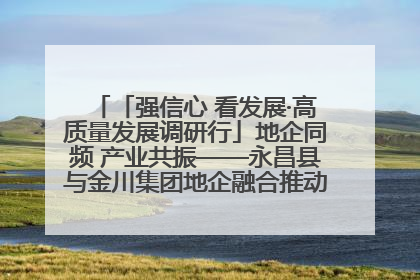 「强信心 看发展·高质量发展调研行」地企同频 产业共振——永昌县与金川集团地企融合推动重大项目建设