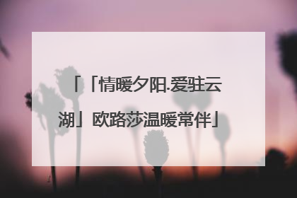 「情暖夕阳.爱驻云湖」欧路莎温暖常伴