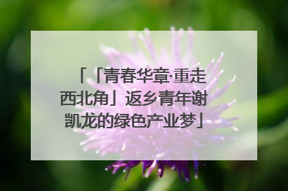 「青春华章·重走西北角」返乡青年谢凯龙的绿色产业梦