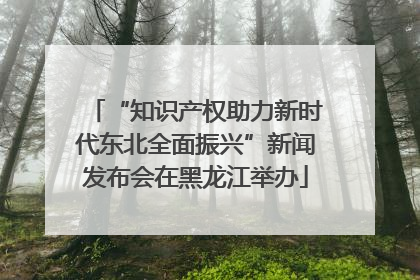 “知识产权助力新时代东北全面振兴”新闻发布会在黑龙江举办