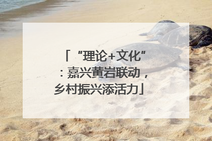 “理论+文化”：嘉兴黄岩联动，乡村振兴添活力