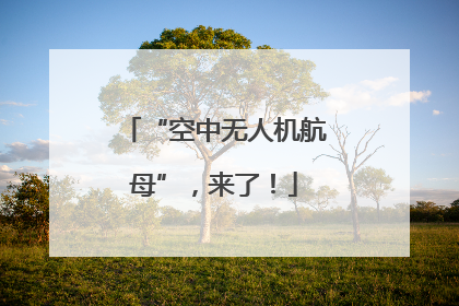“空中无人机航母”，来了！