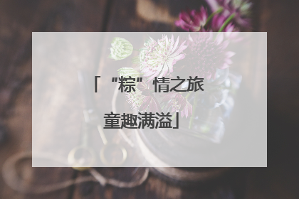 “粽”情之旅 童趣满溢
