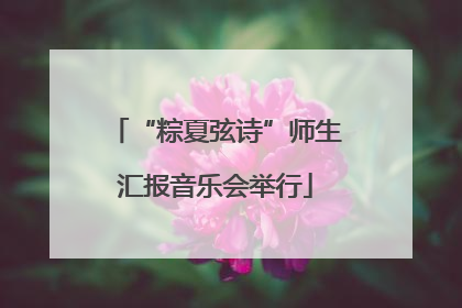 “粽夏弦诗”师生汇报音乐会举行
