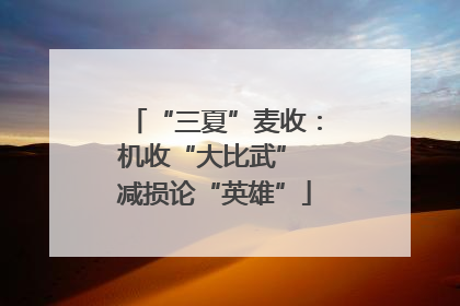 “三夏”麦收：机收“大比武” 减损论“英雄”