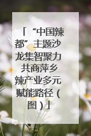 “中国辣都”主题沙龙集智聚力 共商萍乡辣产业多元赋能路径（图）