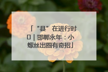 “县”在进行时⑬｜邯郸永年：小螺丝出圈有奇招