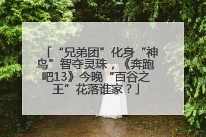 “兄弟团”化身“神鸟”智夺灵珠，《奔跑吧13》今晚“百谷之王”花落谁家？