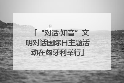 “对话·知音”文明对话国际日主题活动在匈牙利举行