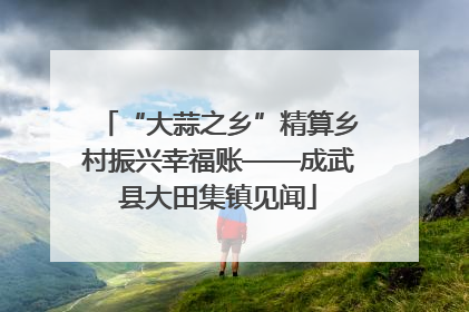 “大蒜之乡”精算乡村振兴幸福账——成武县大田集镇见闻