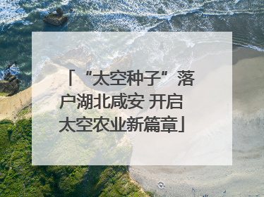 “太空种子”落户湖北咸安 开启太空农业新篇章