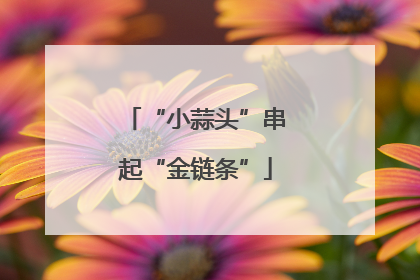 “小蒜头”串起“金链条”