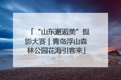 “山东邂逅美”摄影大赛｜青岛浮山森林公园花海引客来