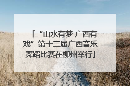 “山水有梦 广西有戏”第十三届广西音乐舞蹈比赛在柳州举行