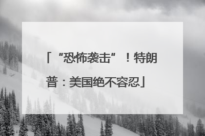 “恐怖袭击”！特朗普：美国绝不容忍