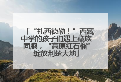 “扎西德勒！”西藏中学的孩子们遇上藏族同胞，“高原红石榴”绽放荆楚大地