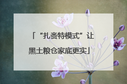 “扎赉特模式”让黑土粮仓家底更实