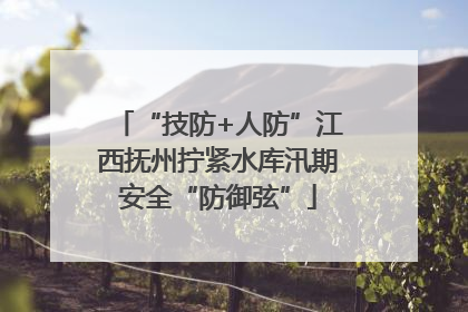 “技防+人防”江西抚州拧紧水库汛期安全“防御弦”