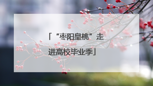 “枣阳皇桃”走进高校毕业季