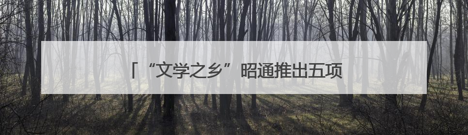 “文学之乡”昭通推出五项活动 打造新时代文化名片