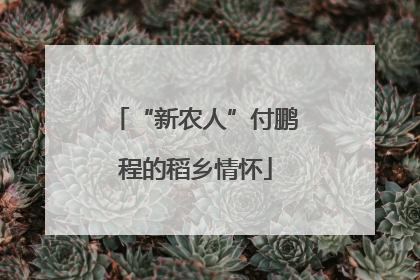 “新农人”付鹏程的稻乡情怀