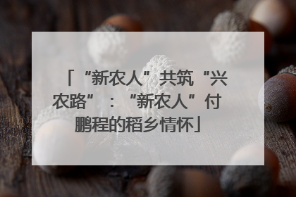 “新农人”共筑“兴农路”：“新农人”付鹏程的稻乡情怀