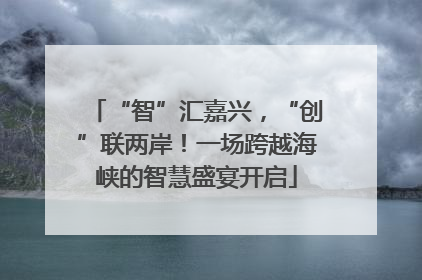 “智”汇嘉兴，“创”联两岸！一场跨越海峡的智慧盛宴开启
