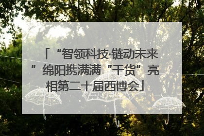“智领科技·链动未来”绵阳携满满“干货”亮相第二十届西博会
