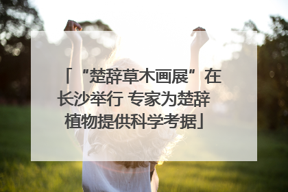 “楚辞草木画展”在长沙举行 专家为楚辞植物提供科学考据