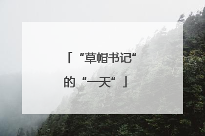 “草帽书记”的“一天”