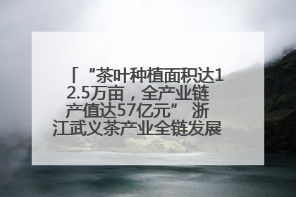 “茶叶种植面积达12.5万亩，全产业链产值达57亿元” 浙江武义茶产业全链发展“加速度”
