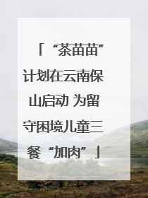 “茶苗苗”计划在云南保山启动 为留守困境儿童三餐“加肉”