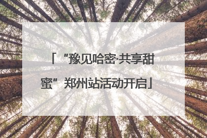 “豫见哈密·共享甜蜜”郑州站活动开启