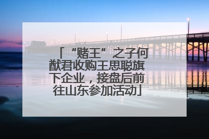 “赌王”之子何猷君收购王思聪旗下企业，接盘后前往山东参加活动