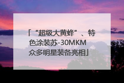 “超级大黄蜂”、特色涂装苏-30MKM 众多明星装备亮相