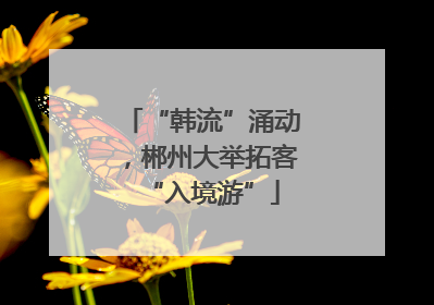 “韩流”涌动，郴州大举拓客“入境游”