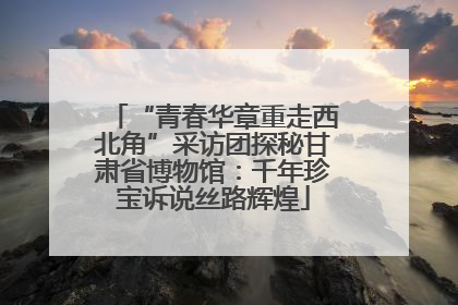 “青春华章重走西北角”采访团探秘甘肃省博物馆：千年珍宝诉说丝路辉煌