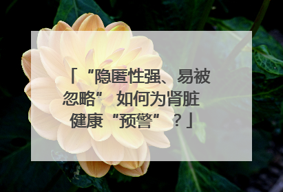 “隐匿性强、易被忽略” 如何为肾脏健康“预警”？