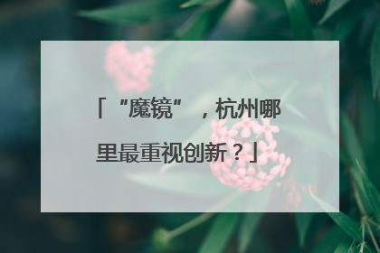 “魔镜”，杭州哪里最重视创新？