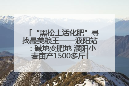 “黑松土活化肥”寻找最美粮王——濮阳站：碱地变肥地 濮阳小麦亩产1500多斤