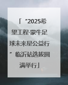 “2025希望工程·蒙牛足球未来星公益行”临沂站选拔圆满举行