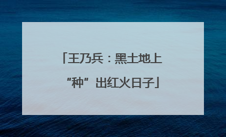 王乃兵：黑土地上“种”出红火日子