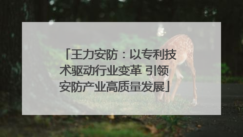 王力安防：以专利技术驱动行业变革 引领安防产业高质量发展