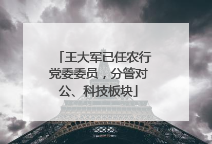 王大军已任农行党委委员，分管对公、科技板块