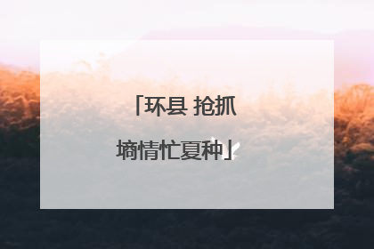 环县 抢抓墒情忙夏种